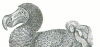 head